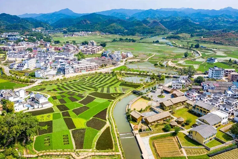 農旅
